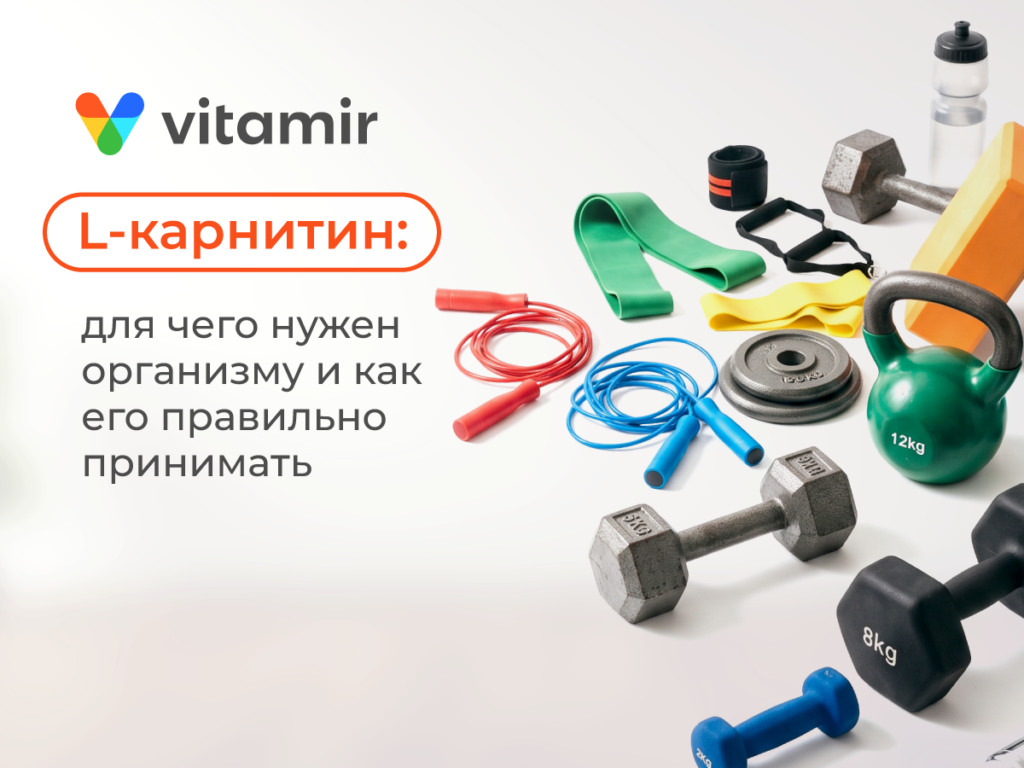 L-карнитин: биохимия энергетического обмена, транспорт липидов и правила приема